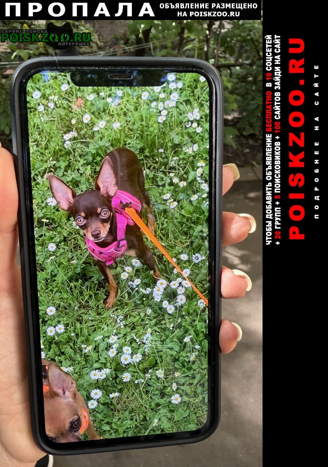 ���� �������� ����� ������ ���-������