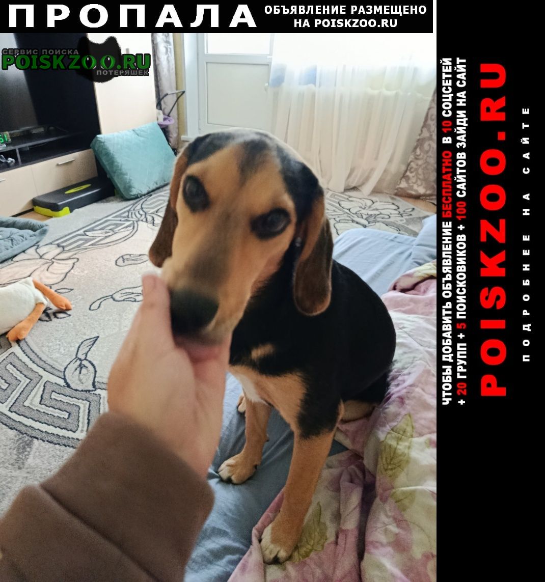 ���� ������� ������ ���������� ������