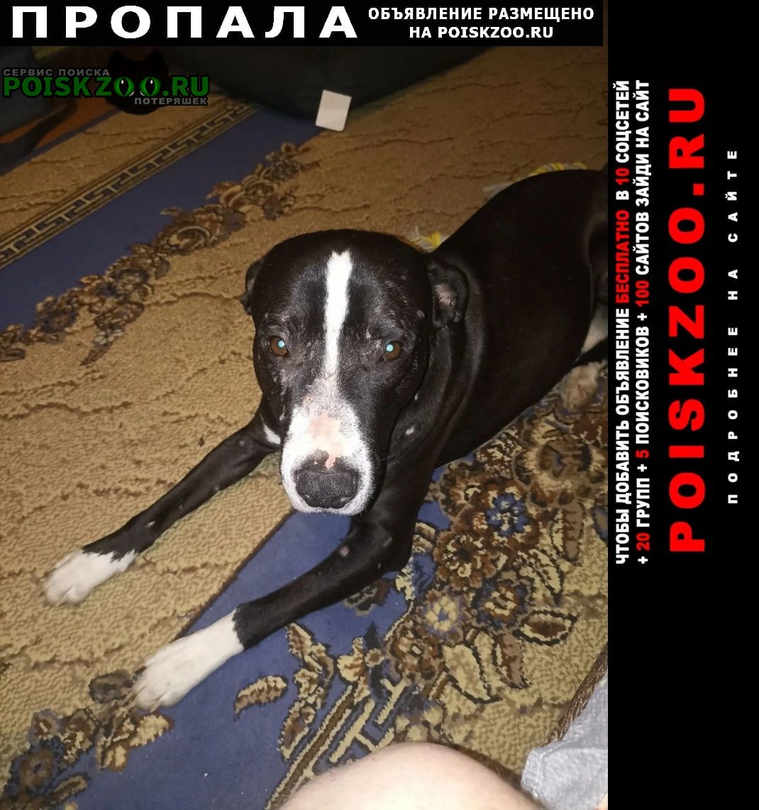 ���� ������� ������ ������ �������