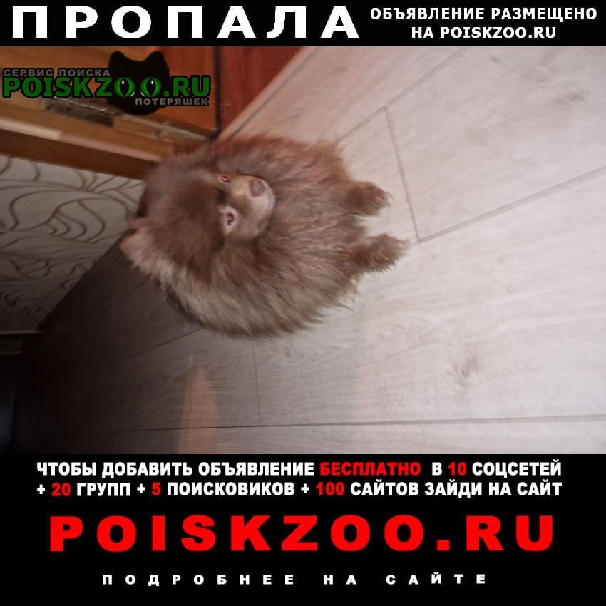 ���� ������� ������ ������