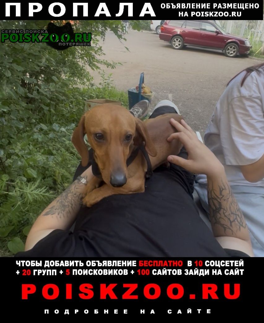 ���� ������� ������ ������