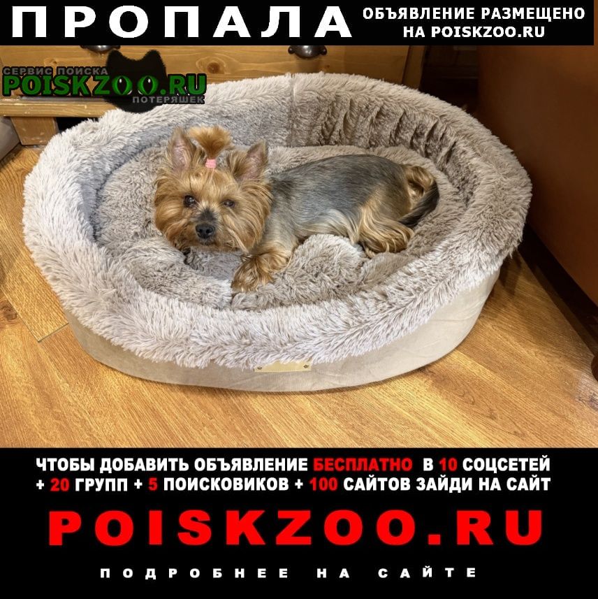 ���� �������� ����� ���� �� ������ ������