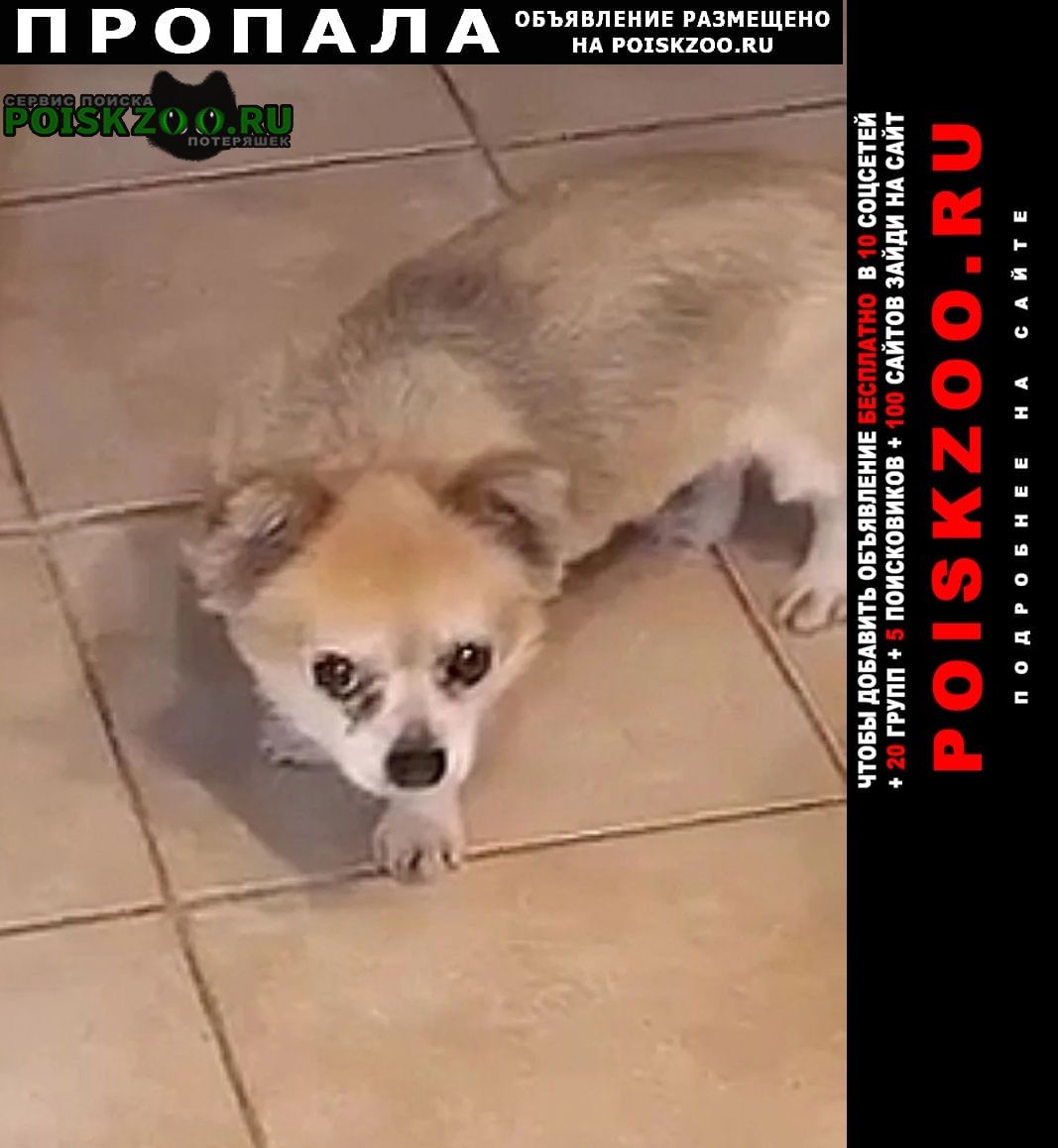 ���� ������� ������ ���������� ��������