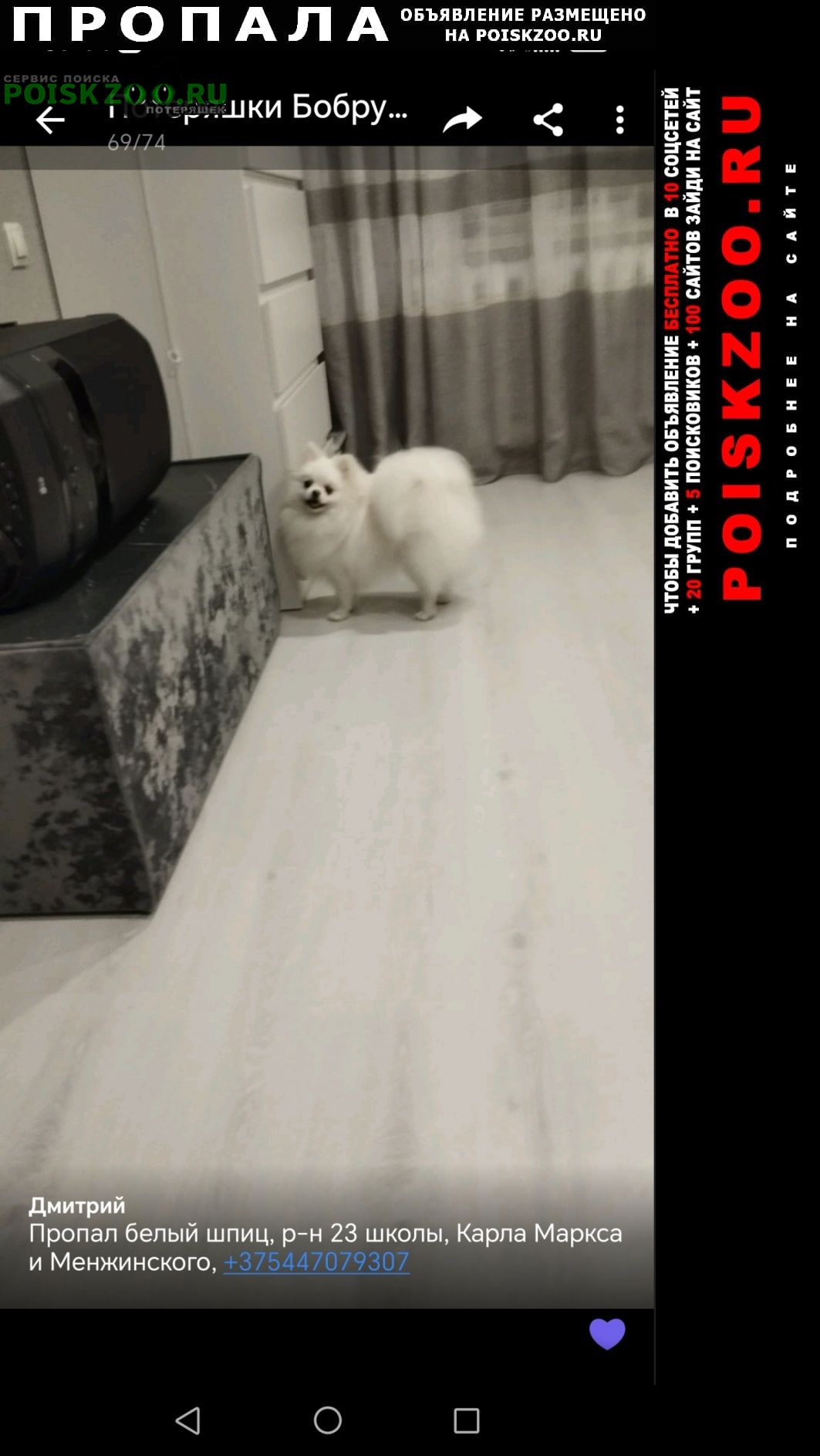 ���� ������� ������ ������ ����� ����