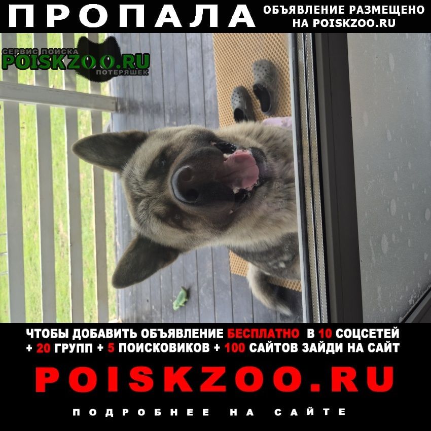 ���� �������� ����� ������� ������������ �����