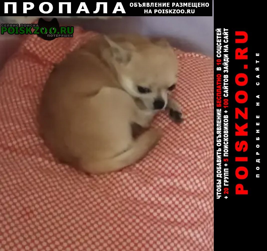 ���� ������� ������ ������