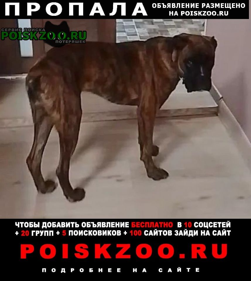 ���� ������� ������ ������