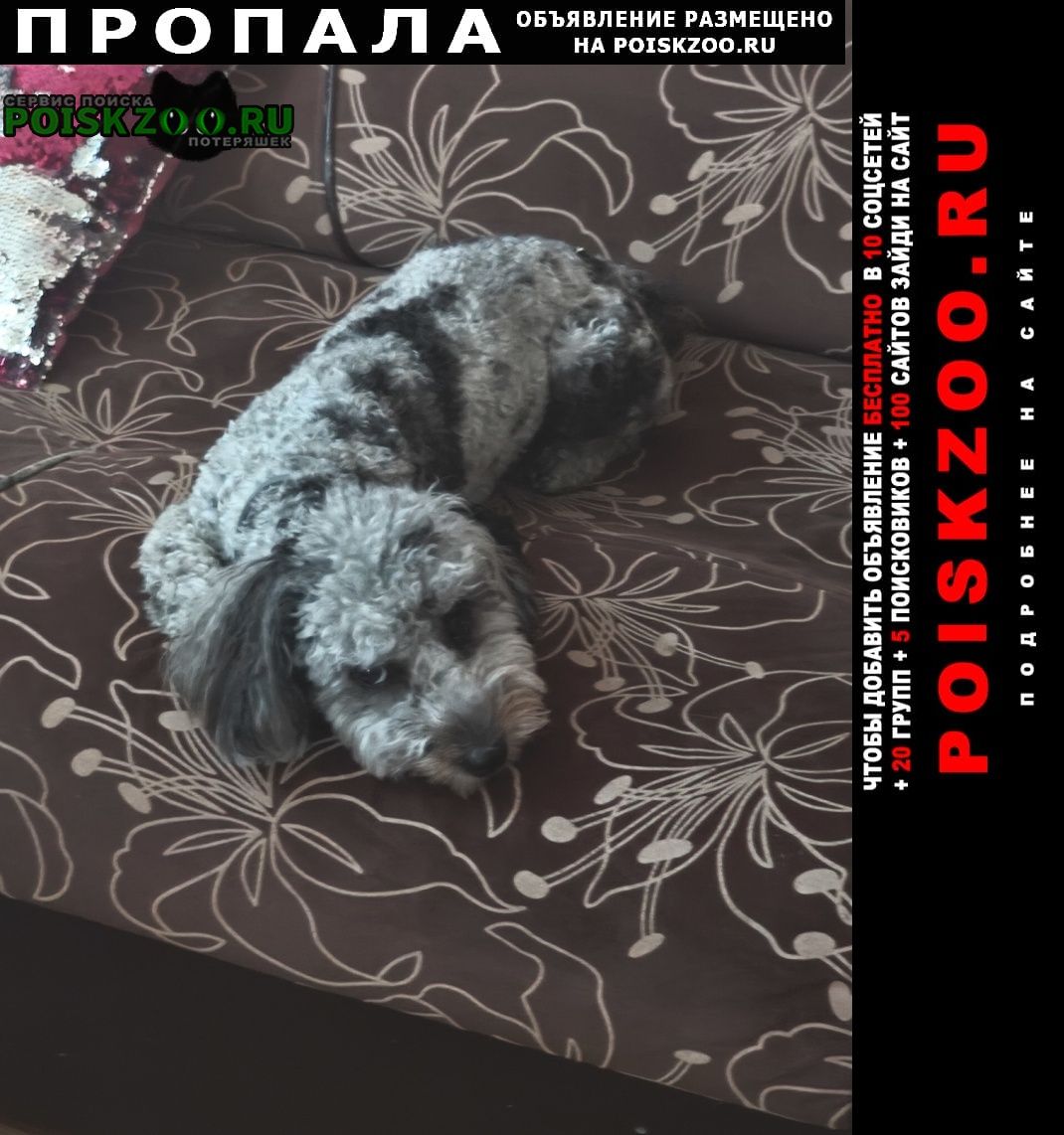 ���� ������� ������ ������