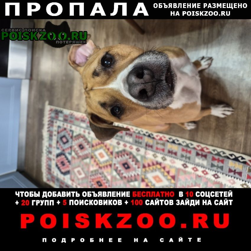 ���� �������� ����� ������ �����