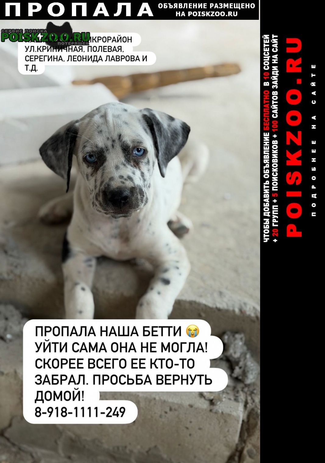 ���� ������� ������ ����� ����� ����� � ������� ����������