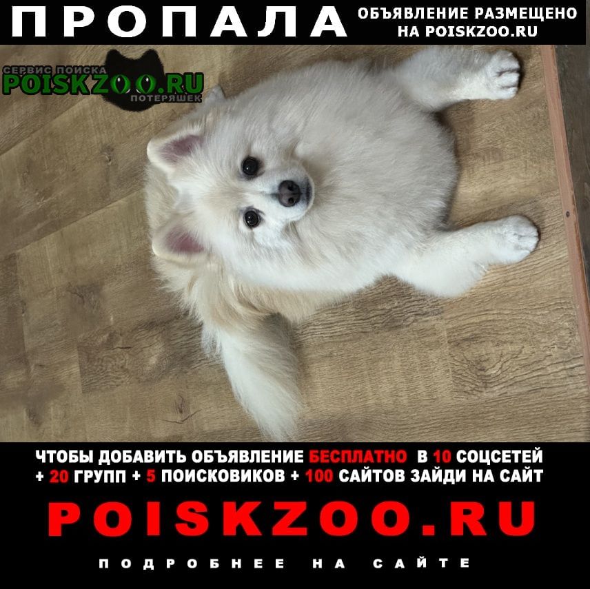 ���� ������� ������ ������ ��������, ����������, ����� �����