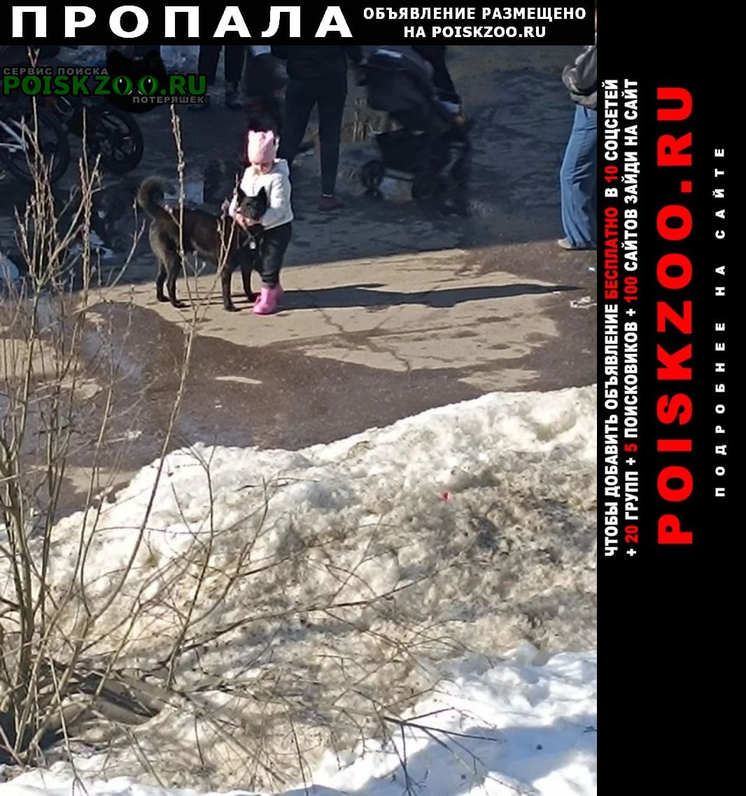 ���� ������� ������ ������ ������ ����, ���� ������.