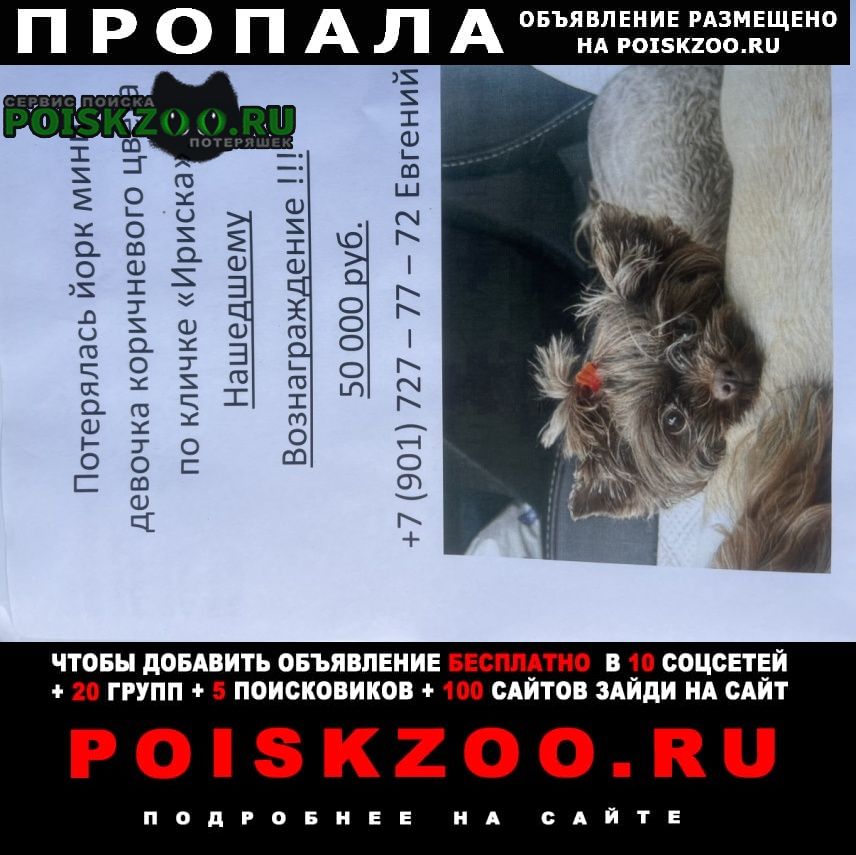���� ������� ������ �������� ����� ���� �������