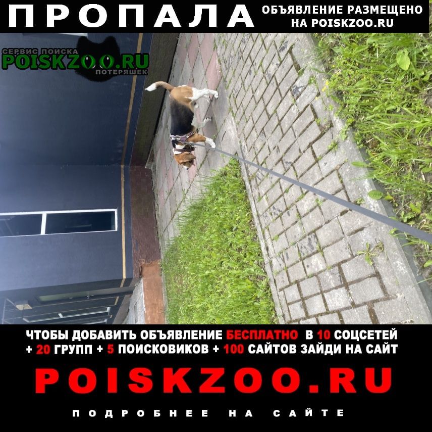 ���� ������� ������ ������ ����� ����