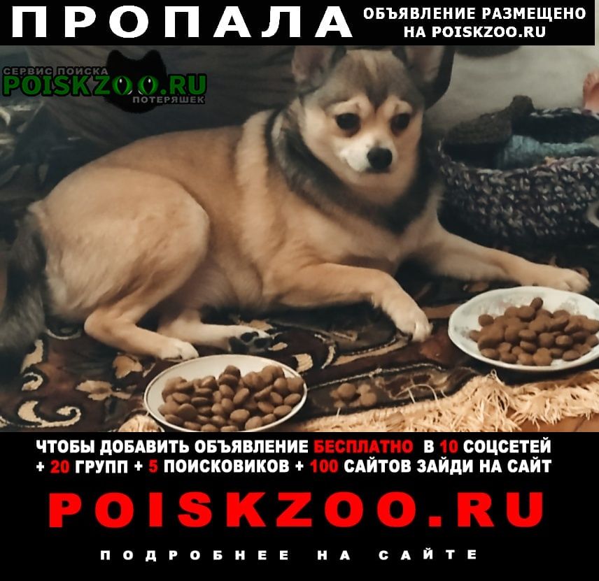 ���� ������� ������ ������ ������ � ��������� �������.