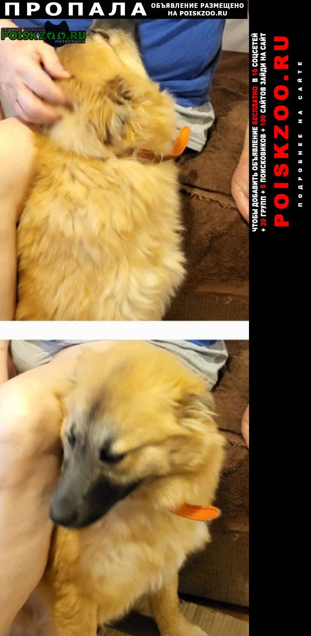 ���� ������� ������ � ���� � 17 ������� �� 18 ������� 2026