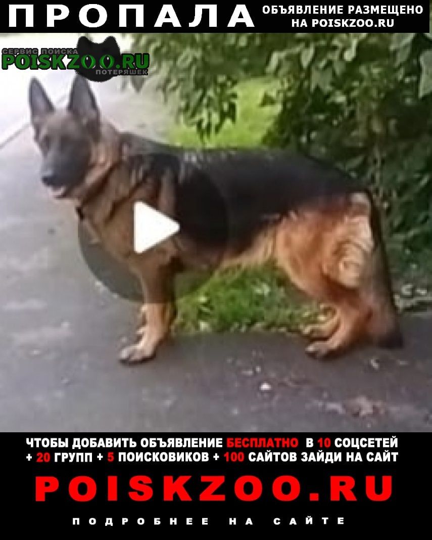 ���� ������� ������ �������� ������� ��������� �������� ����