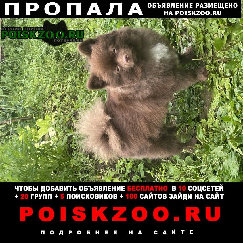 ���� ������� ������ �������� �����
