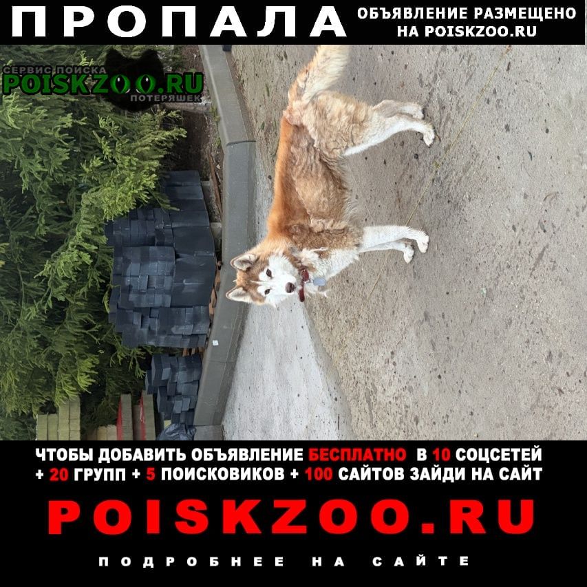 ���� ������� ������ ����� ������