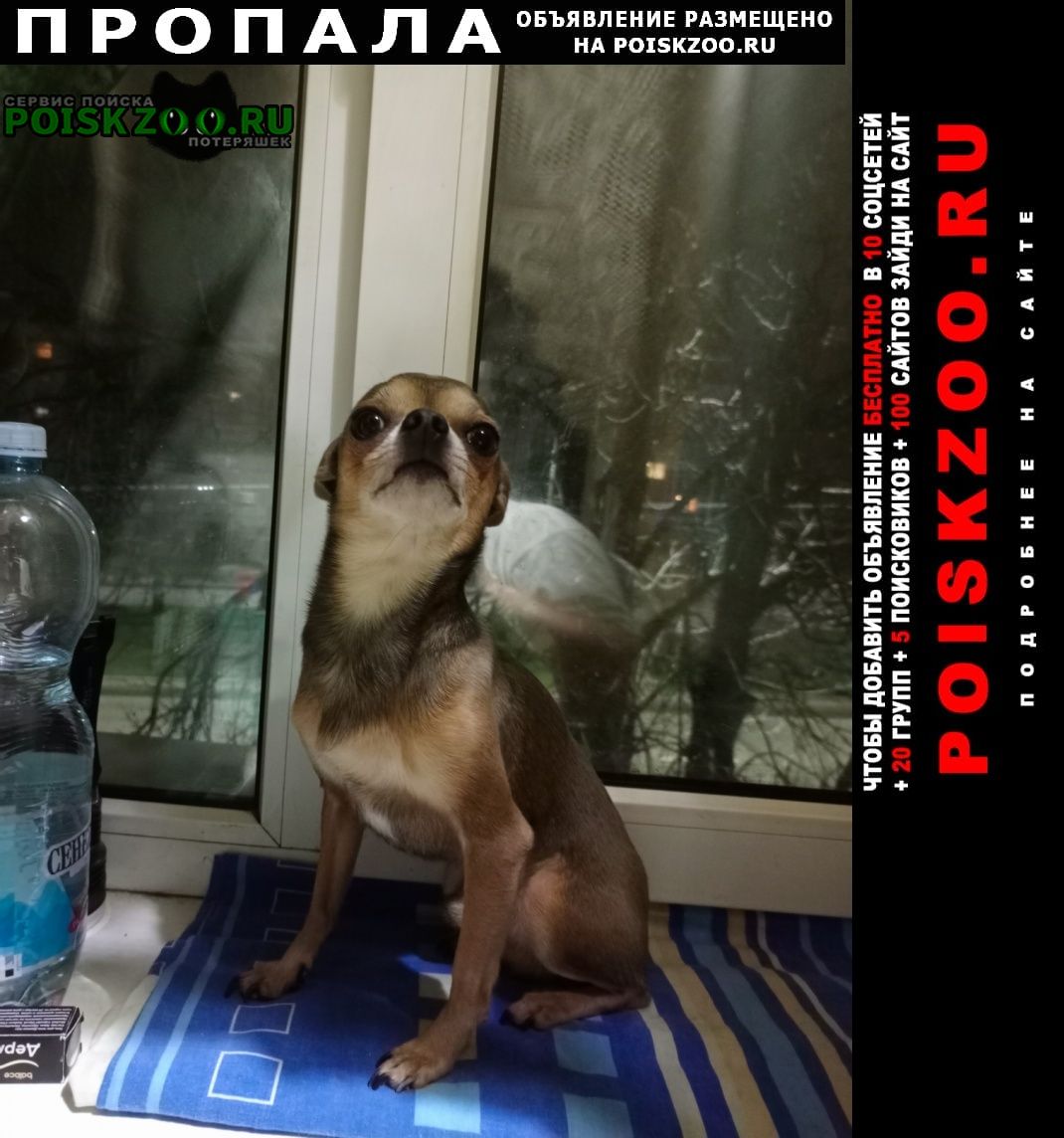 ���� ������� ������ ������ ��������