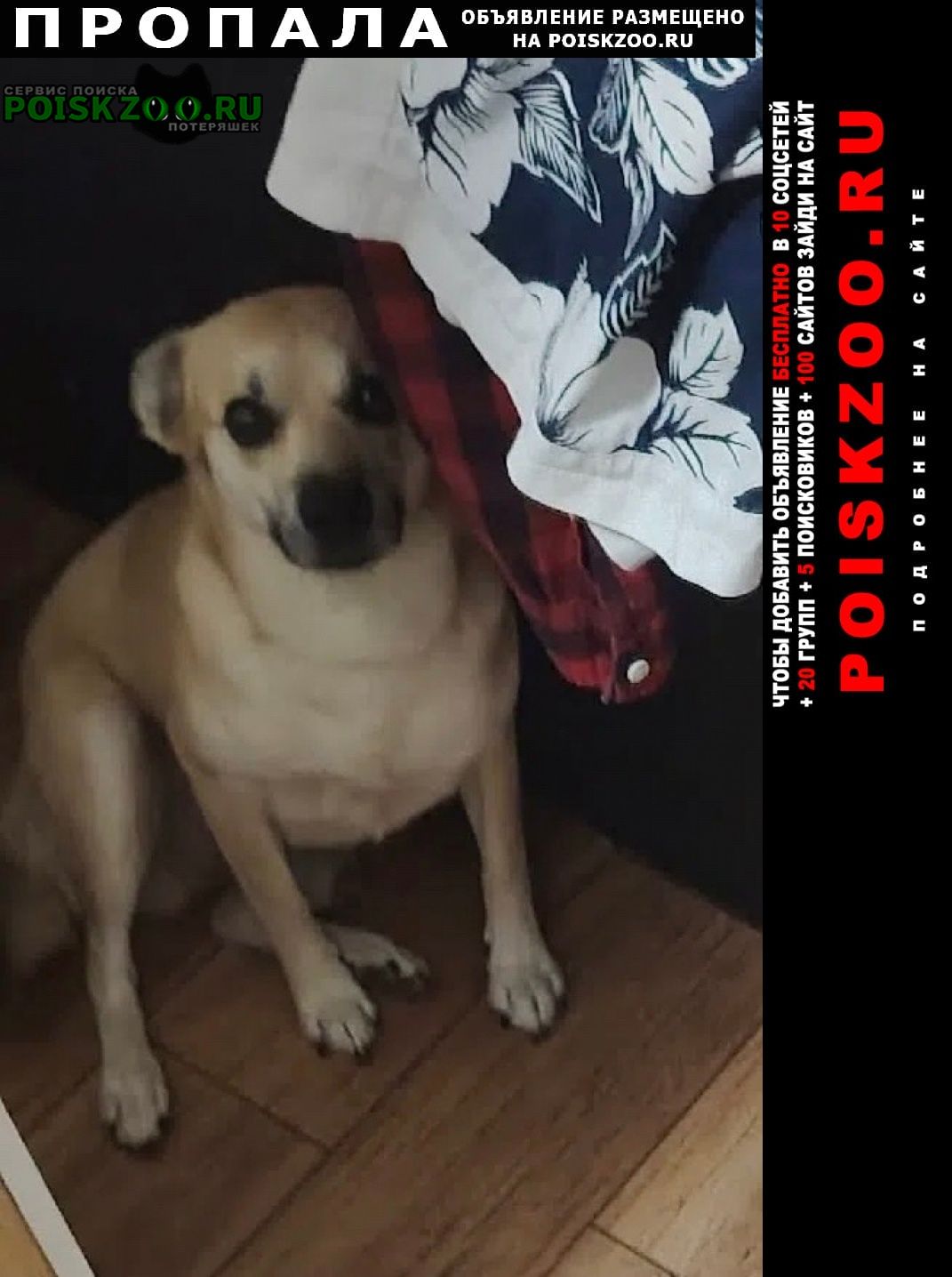 ���� ������� ������ ������ ������ �� ������ ����