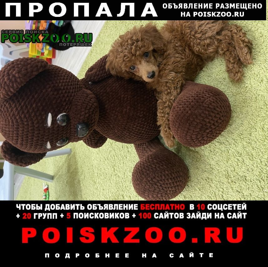 ���� ������� ������ ������ ����� ���-������
