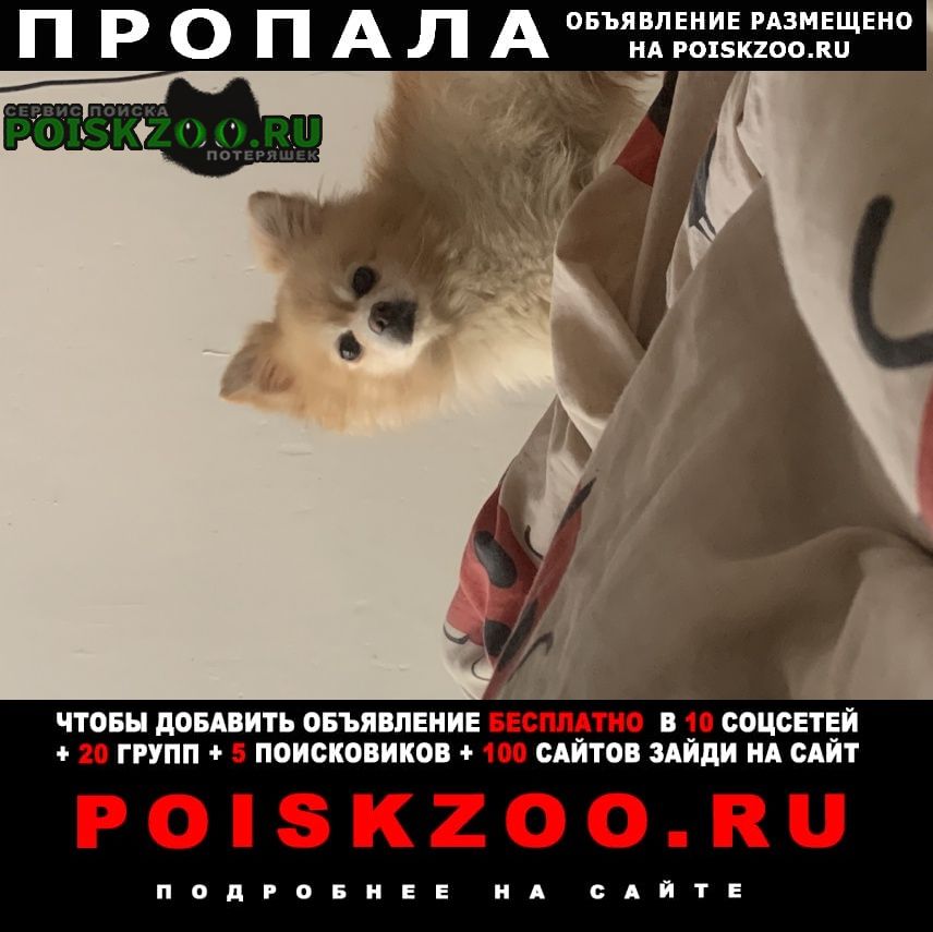 ���� ������� ������ ������ ��� ��������/������.