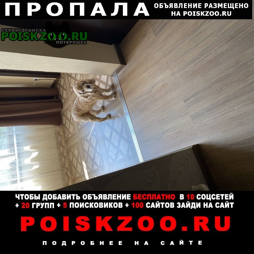 ���� ������� ������ ������