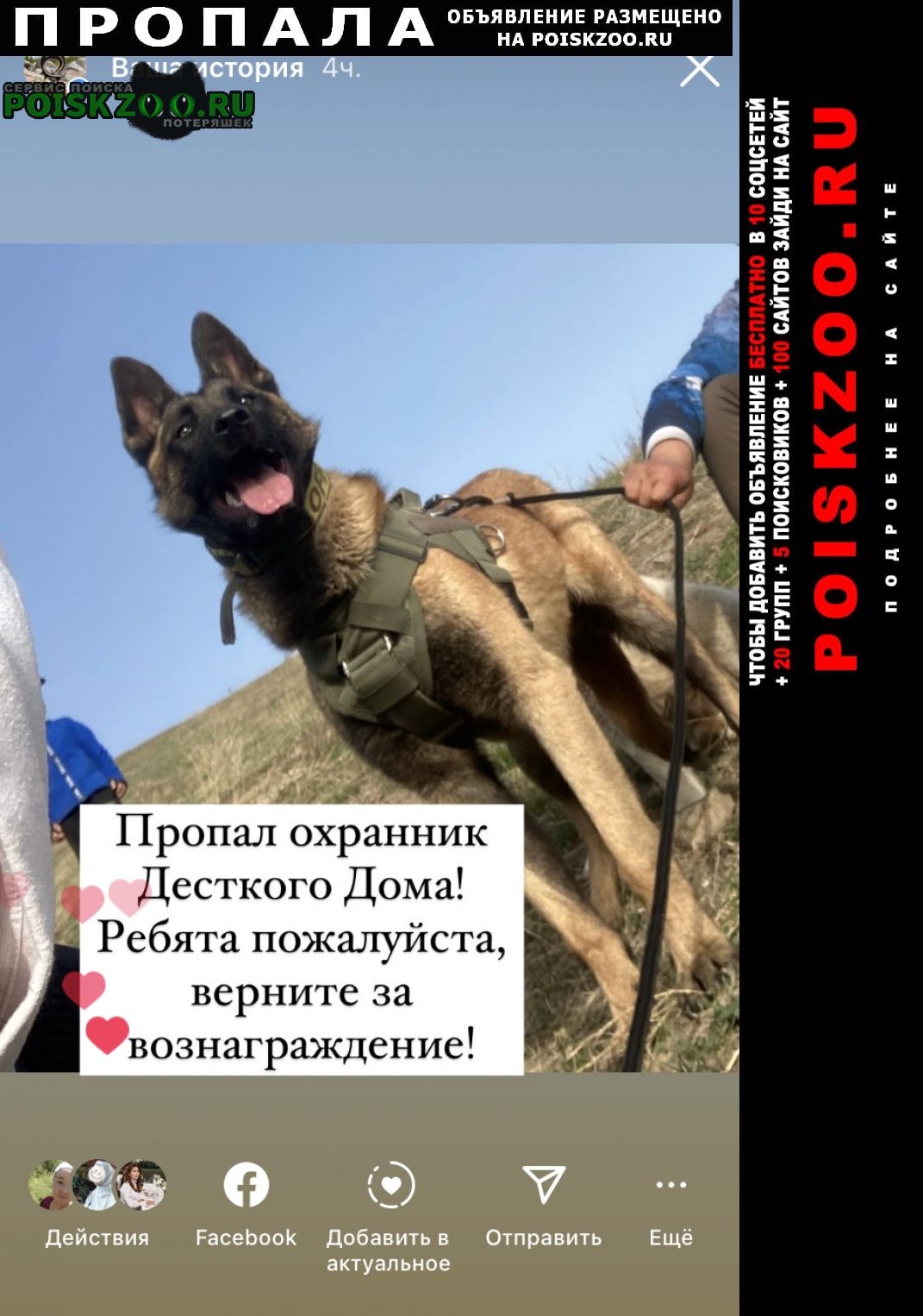 Бишкек Пропала собака кобель любимец детского дома