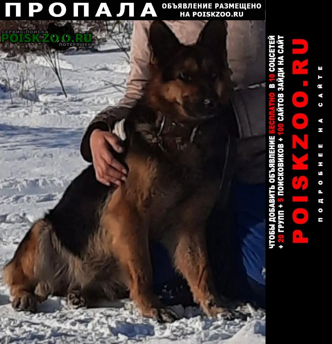 Улан-Удэ Пропала собака 8 лет