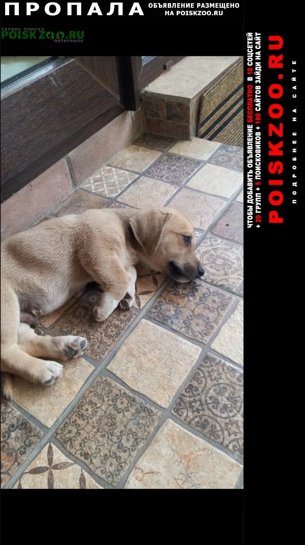 ���� ������� ������ ������