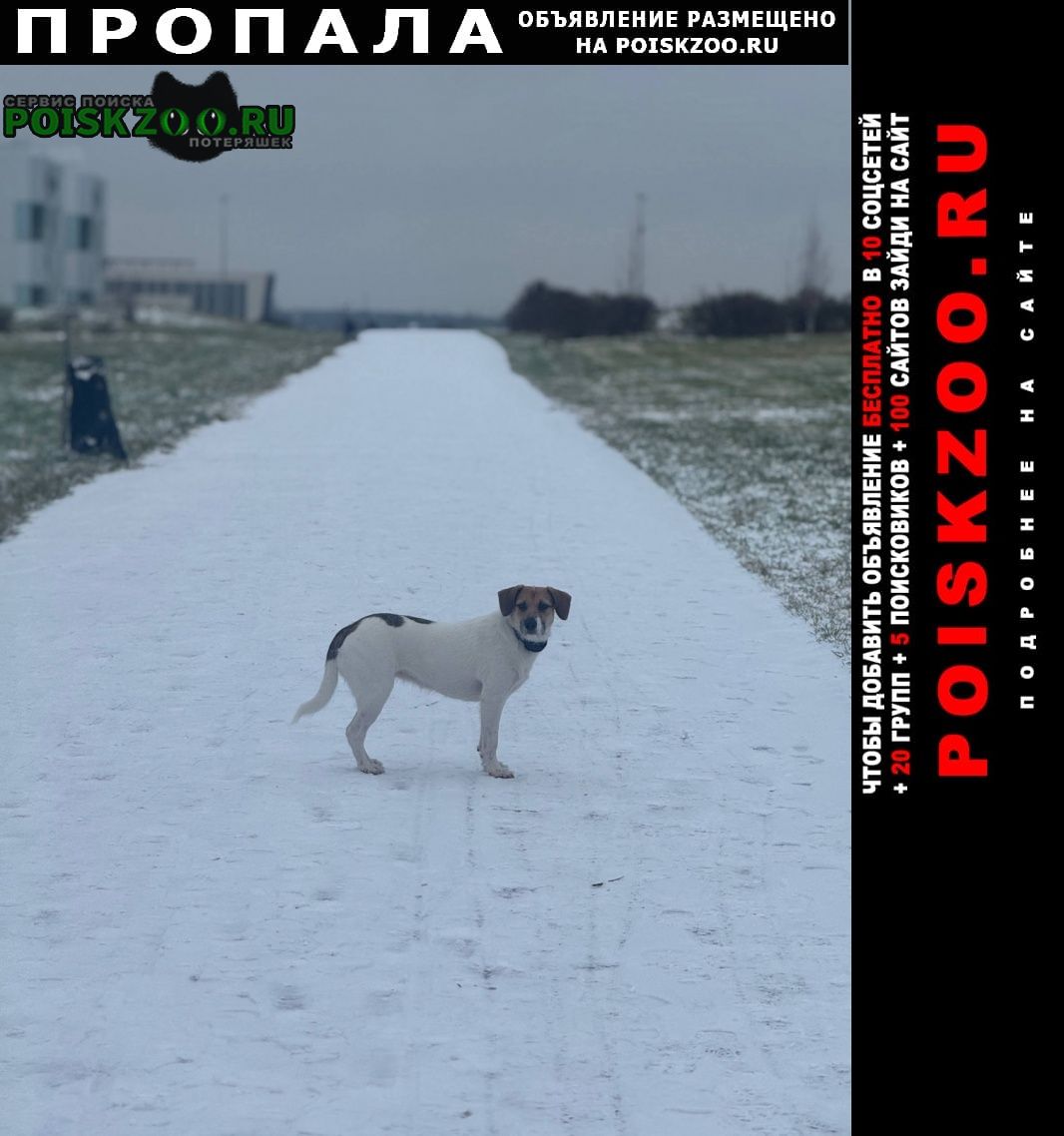 ���� ������� ������