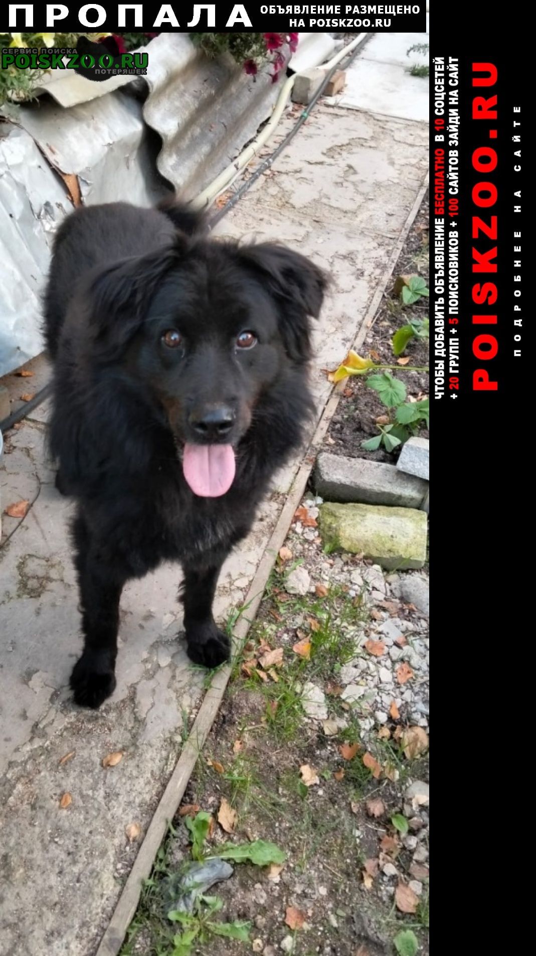 ���� ������� ������ ������