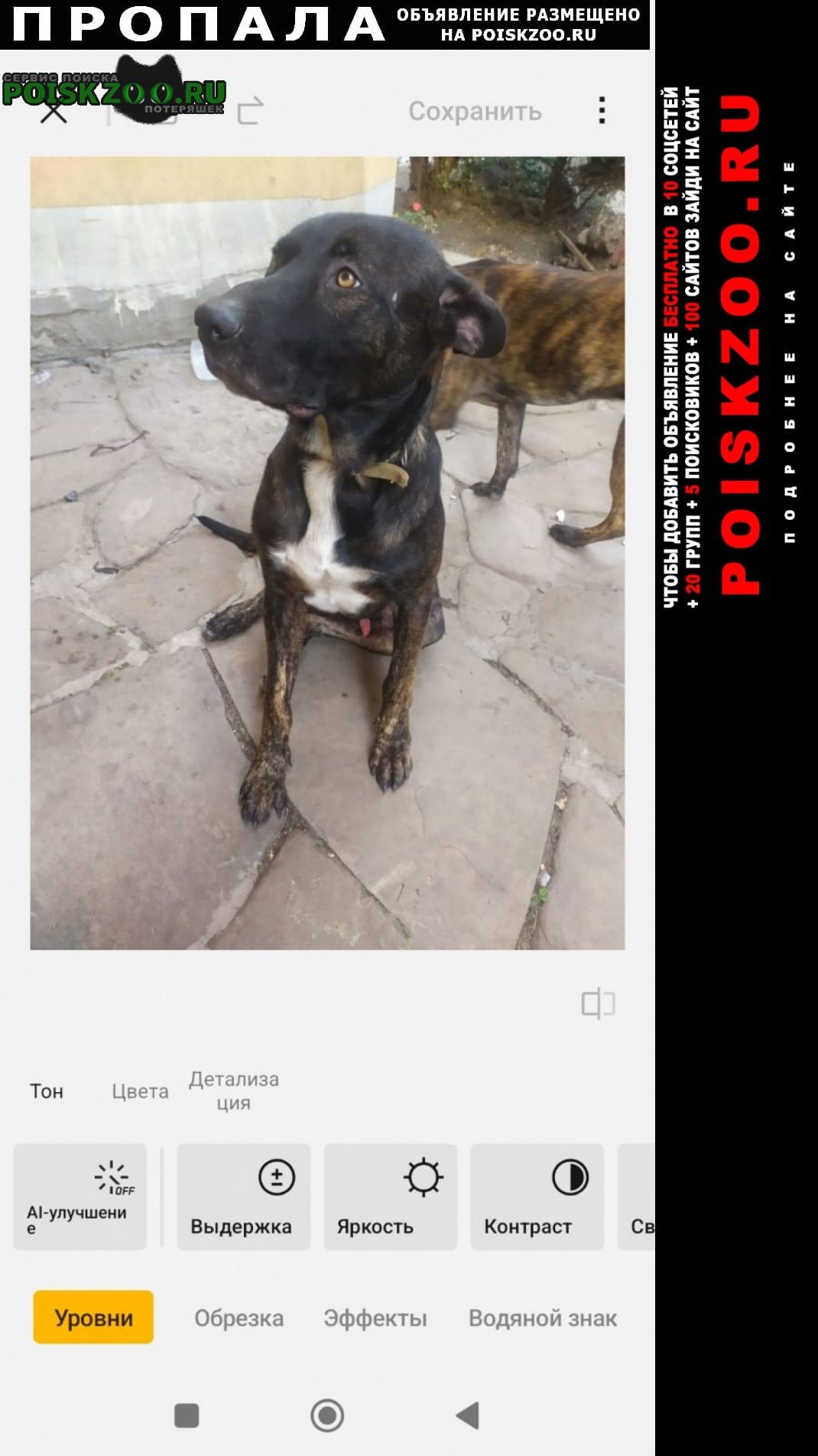 ���� ������� ������ ������