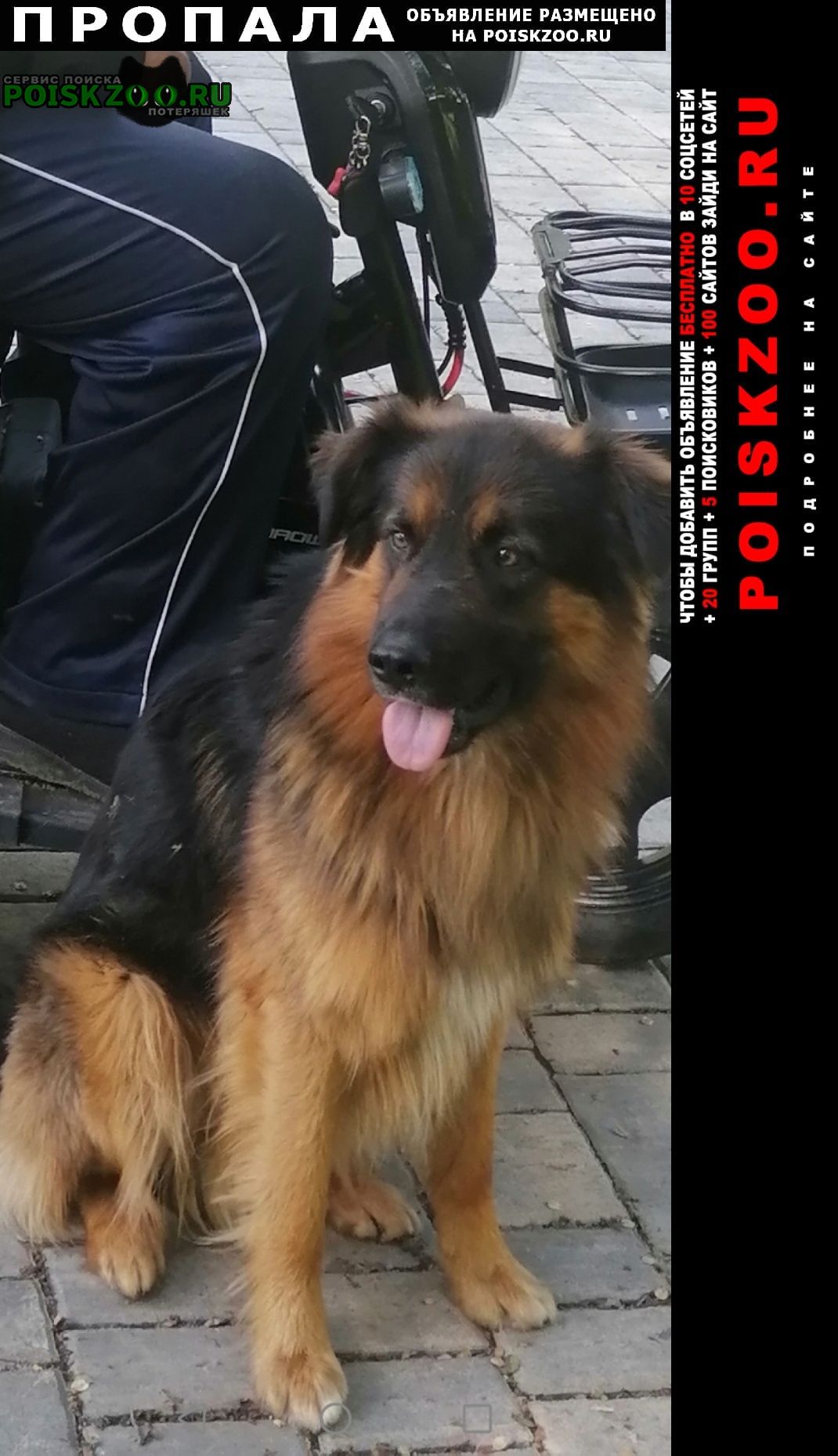 ���� ������� ������ ������ ����� � ������ �����. ����� �� �