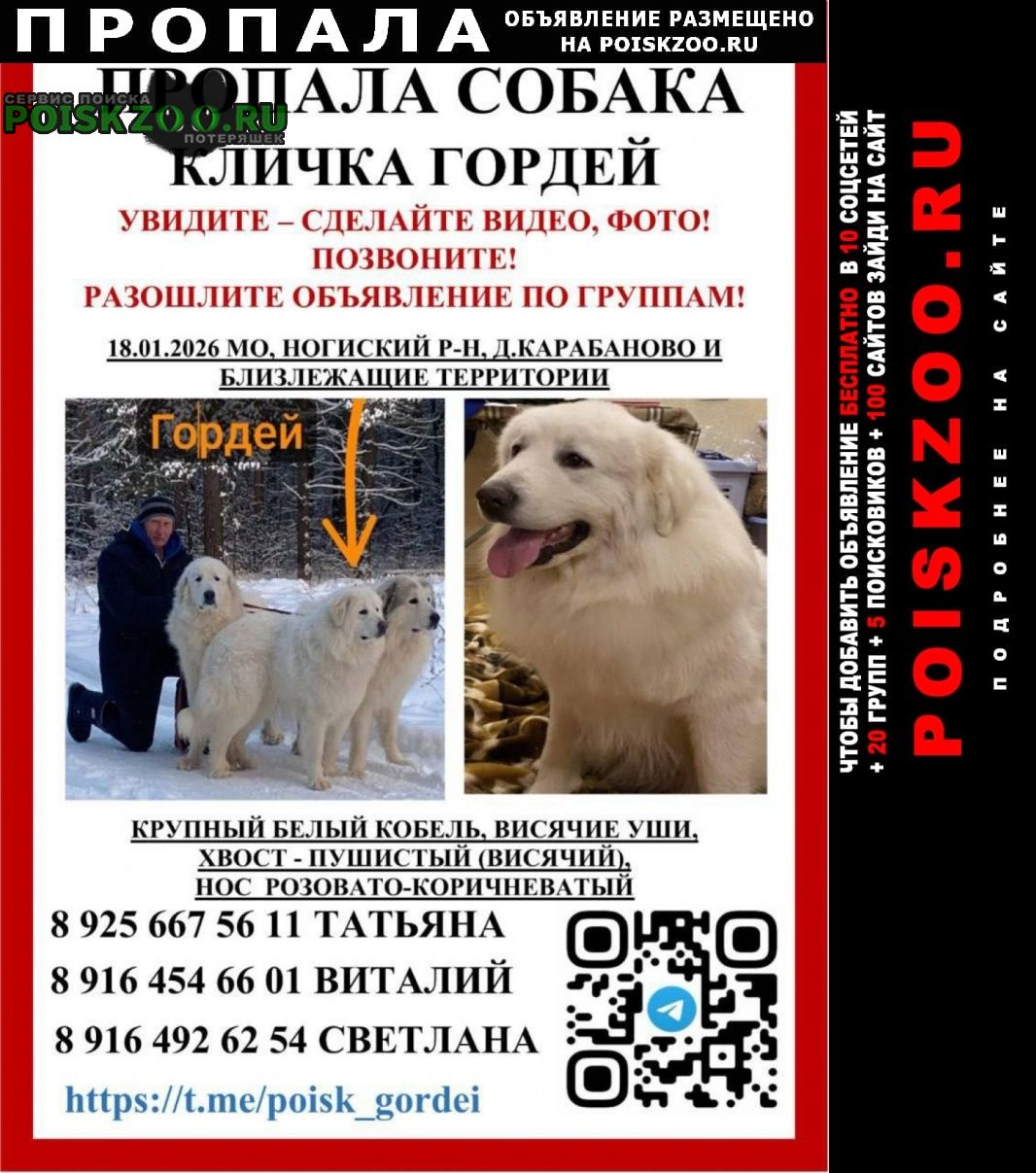 ���� ������� ������ ������