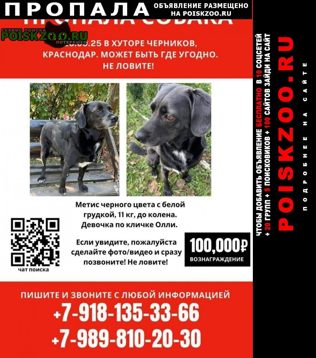 ���� ������� ������