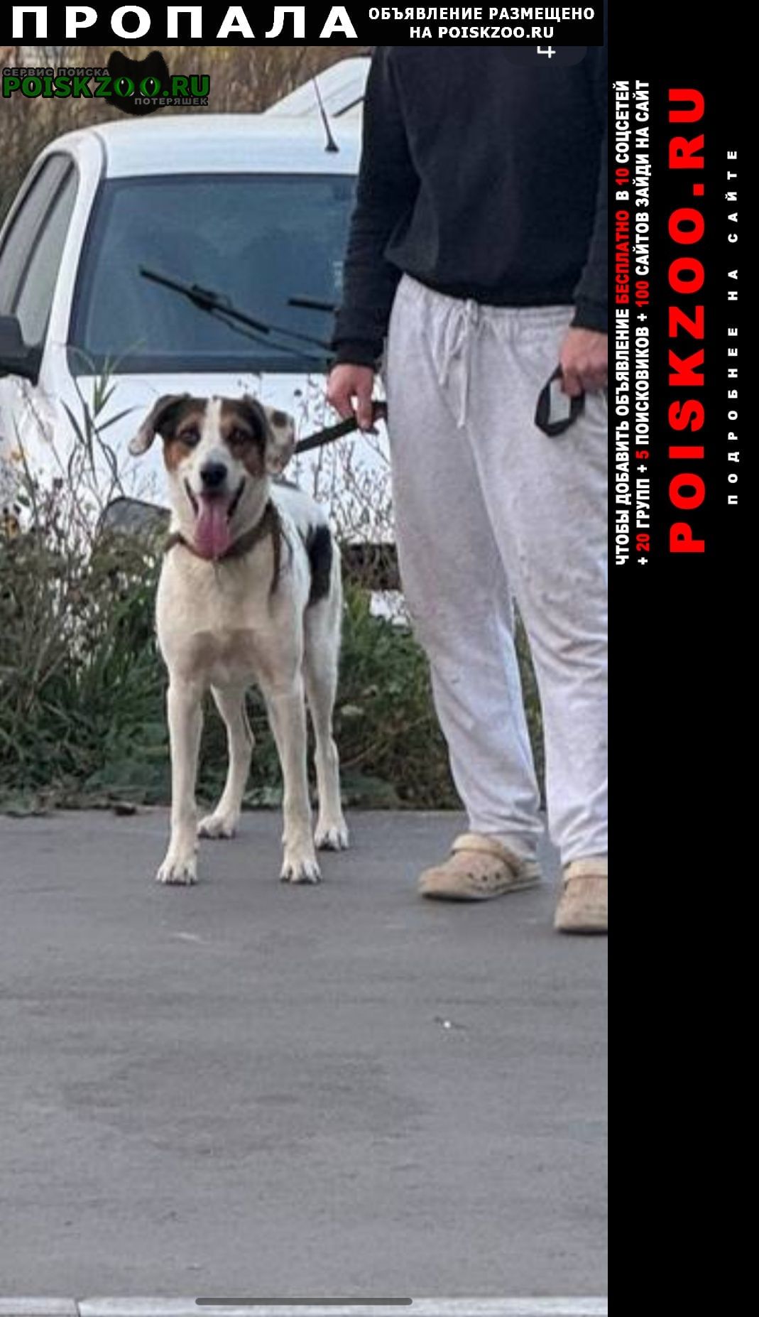 ���� ������� ������ ������ ���, � ��������� �����-�������