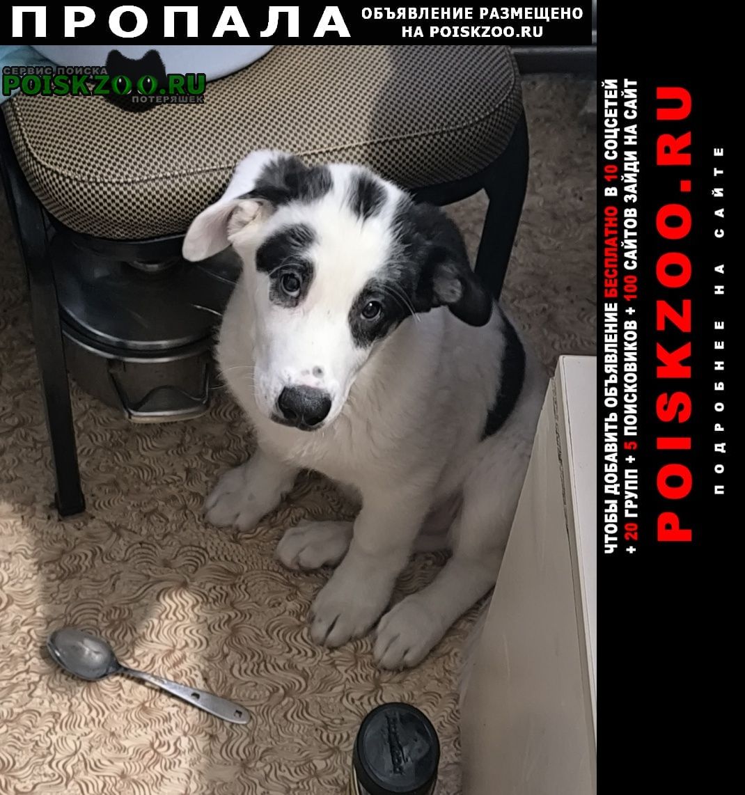 ���� ������� ������ ������ ������� � ��� � ������� ����