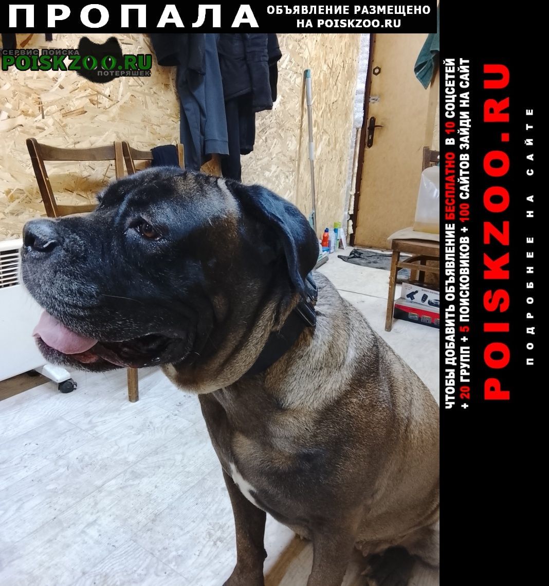 ���� ������� ������ � ���� ��� ��� ��������