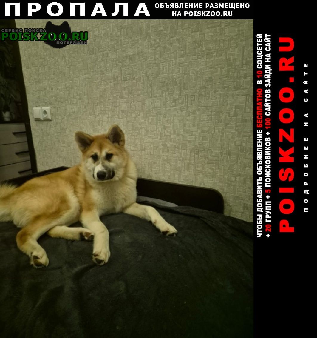 ���� ������� ������ ������� �������