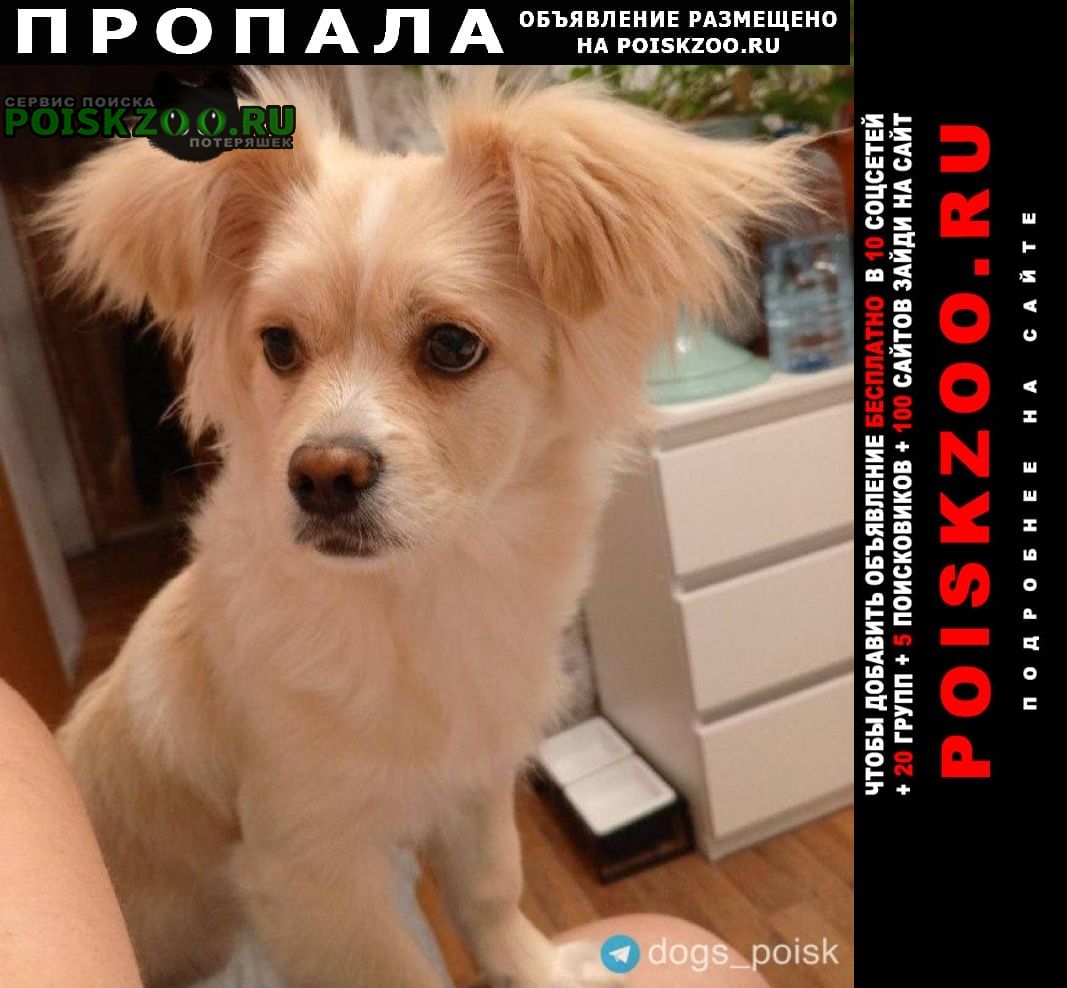 ���� ������� ������ ����� ������ � ������