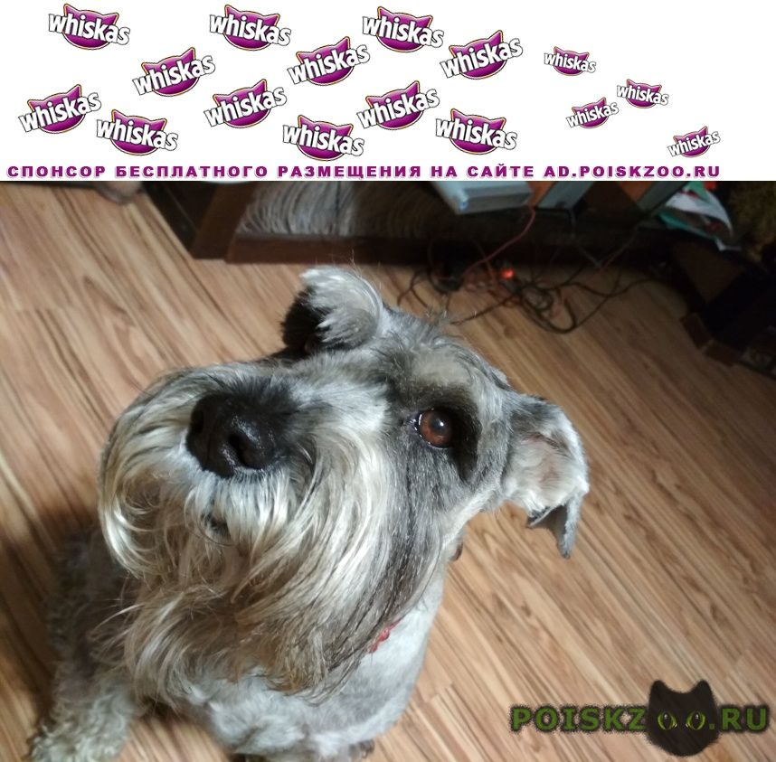 ���� ������� ������