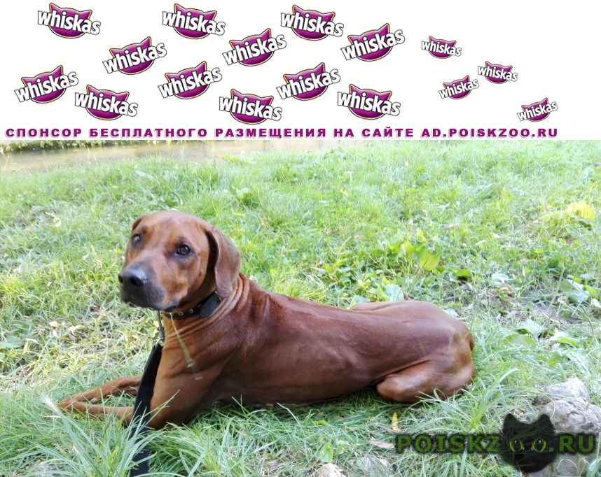 ���� ������� ������ ������