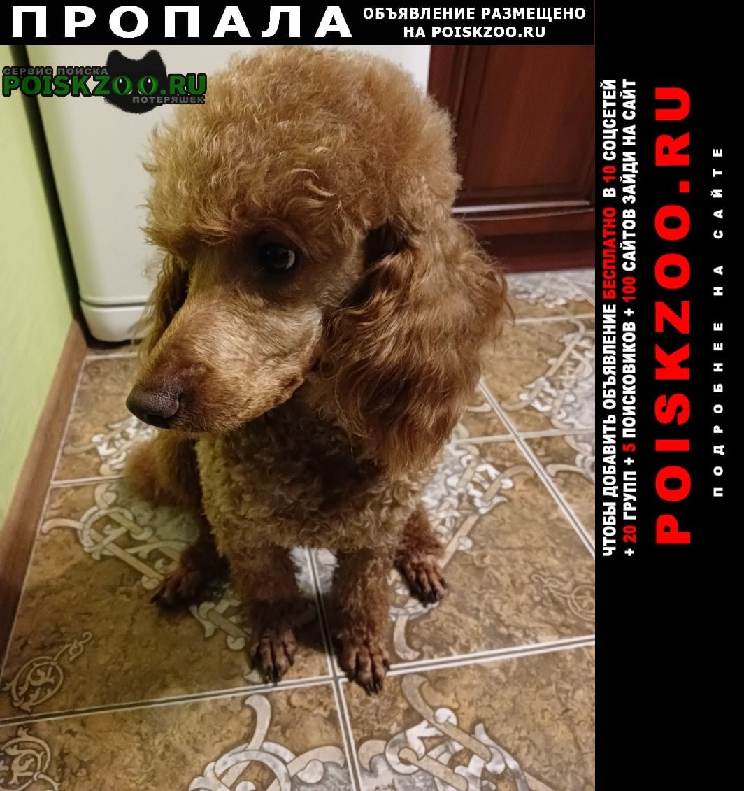 ���� ������� ������ ������ ������