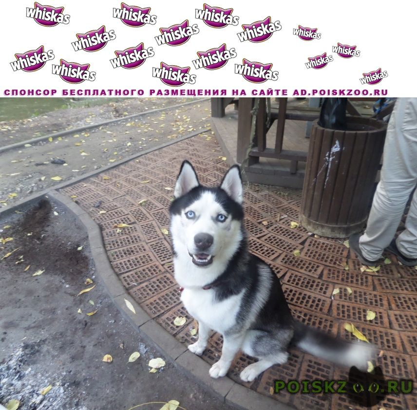 ���� ������� ������ ������ ��������� �����, ���� ��� � ������