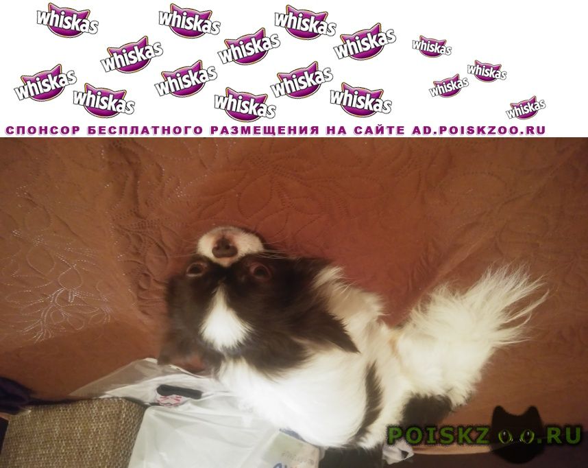 ���� ������� ������ ������ �������� ���