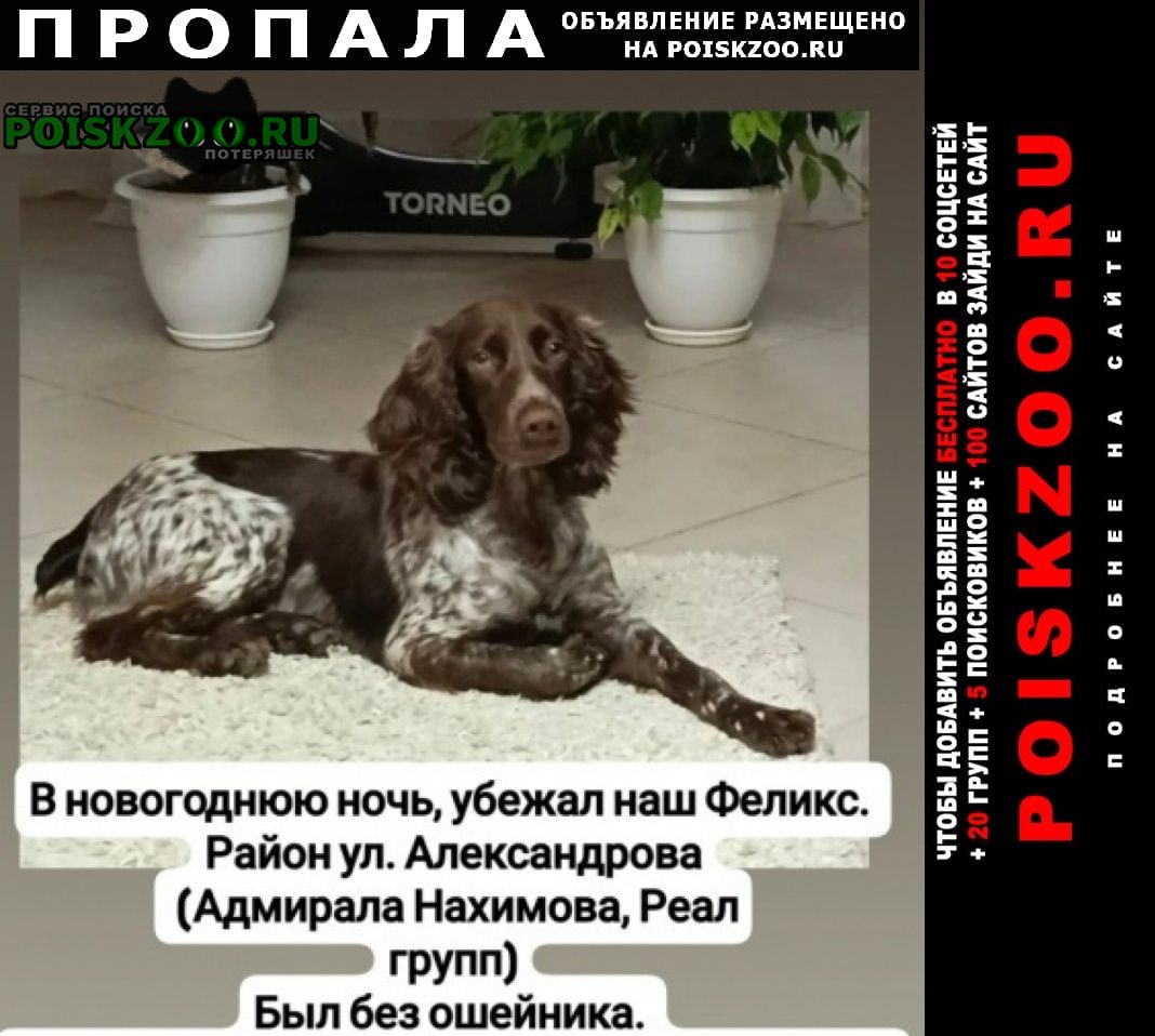 ���� ������� ������ ������.