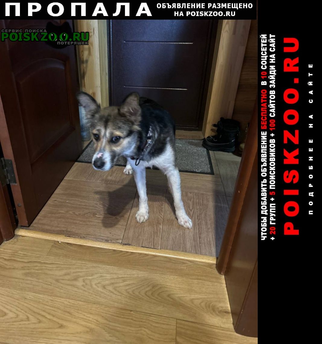 ���� ������� ������ ������