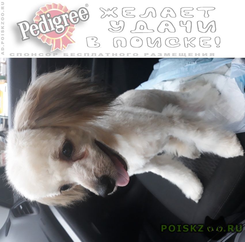 ���� ������� ������ ������